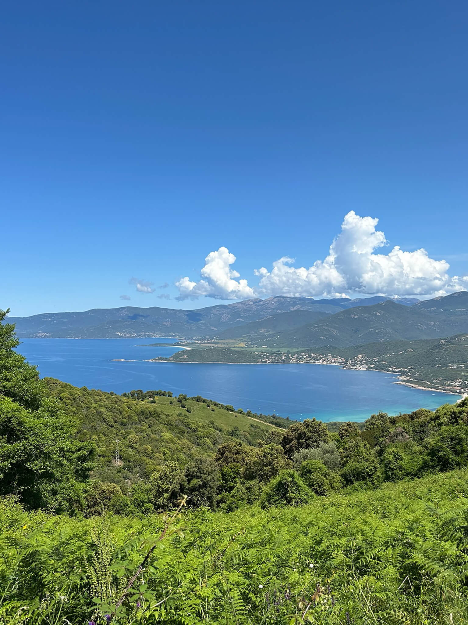 Corsica-Peak&Coast Cycling Camp